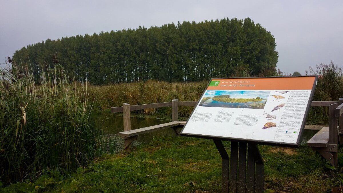 Foto op paneel van Staatsbosbeheer in de Rijnstrangen, 2014